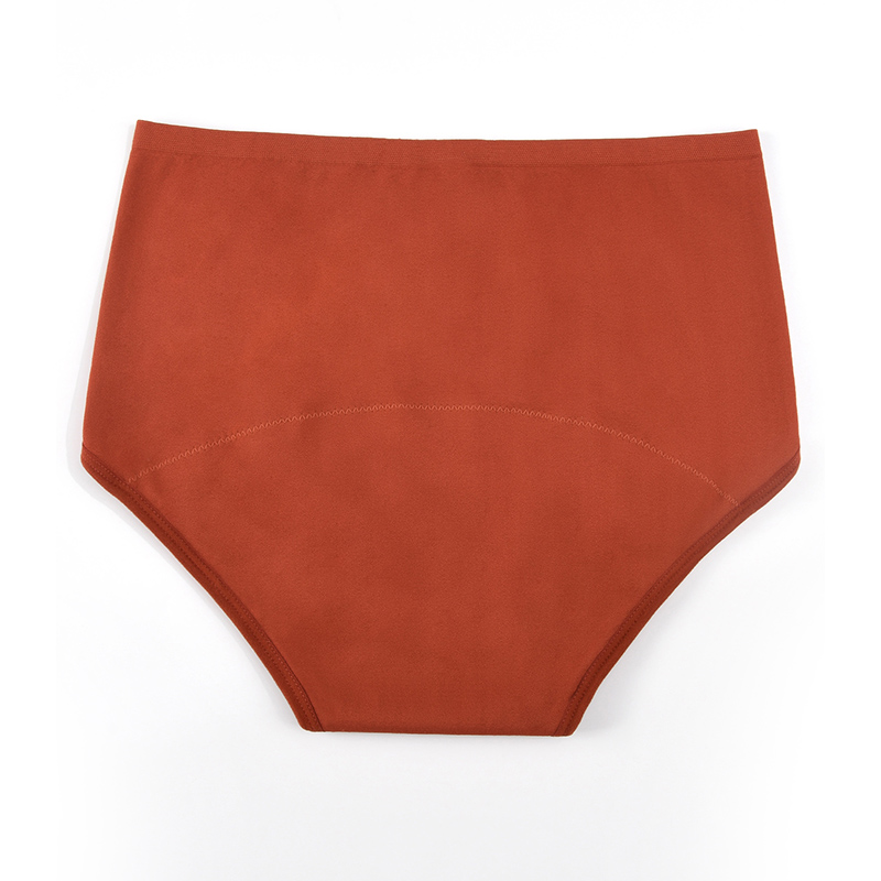 女性用シームレス生理用ショーツ、3層吸収保護機能付き、無地の - Period Panty Absorbent のレビューと価格