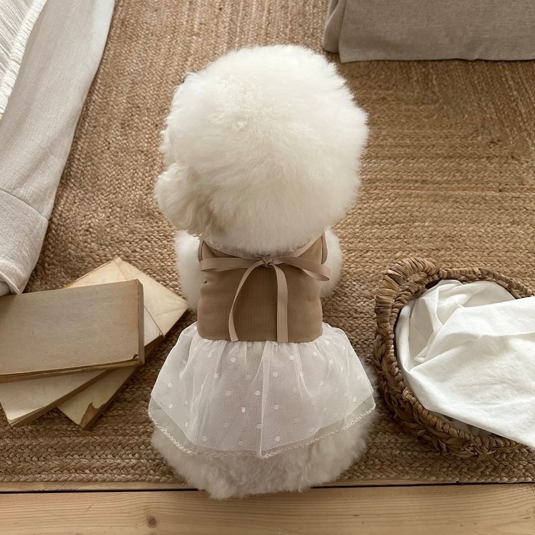 春夏ペットレースキャミソールベストドレス テディ小型犬用ボウ - Lace Teddy Lingerie のレビューと価格