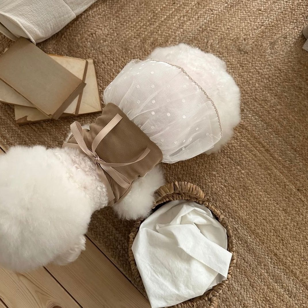 春夏ペットレースキャミソールベストドレス テディ小型犬用ボウ - Lace Teddy Lingerie のレビューと価格