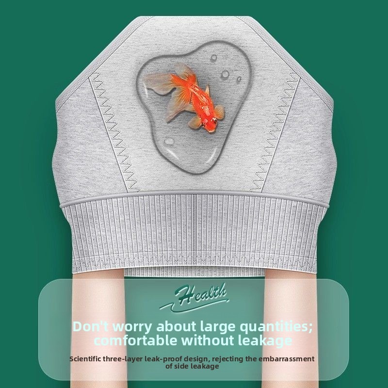 女性ハイウエスト生理用下着綿漏れ防止月経ブリーフサニタリーパ - Period Panty Absorbent のレビューと価格